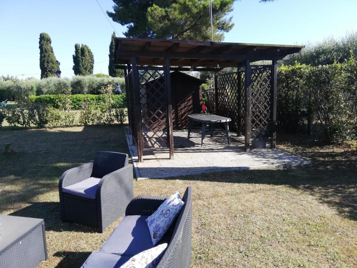 L'Aia Degli Olivi Apartment Vada Exterior photo