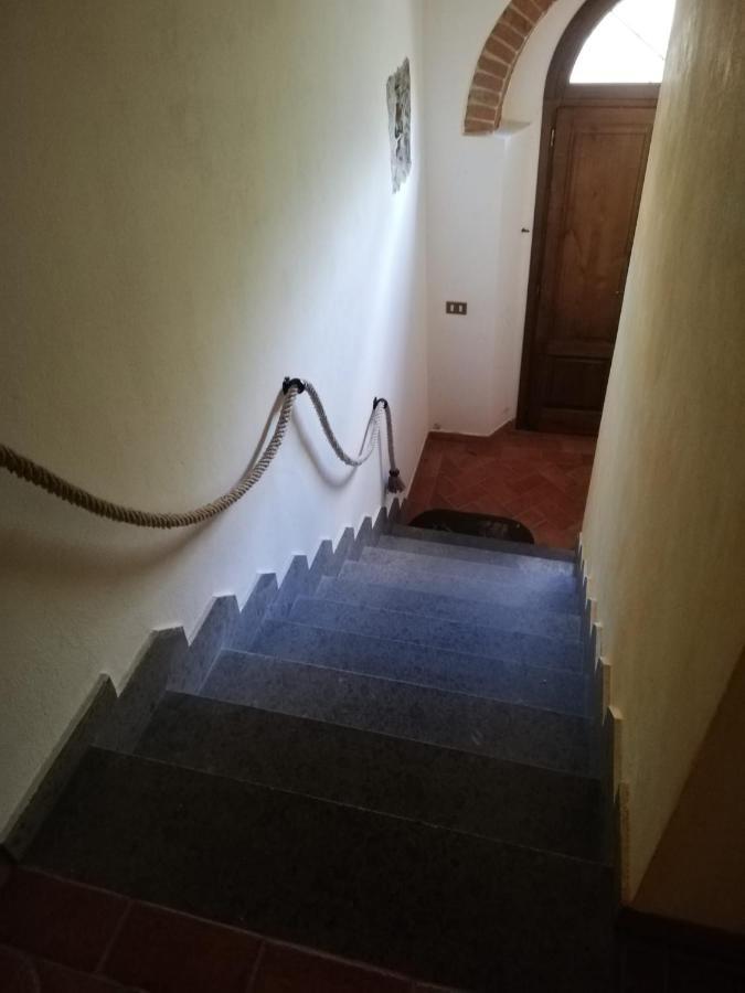 L'Aia Degli Olivi Apartment Vada Exterior photo